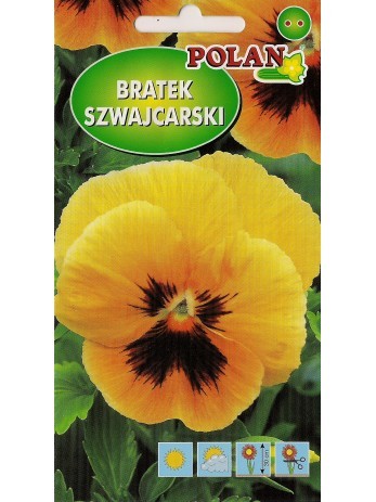 Bratek ogrodowy pomarańczowy z plamą