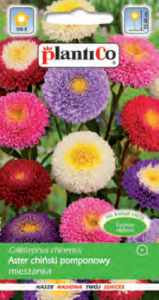 Aster chiński pomponowy MIX 1g