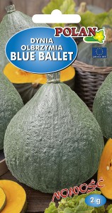 Dynia olbrzymia Blue Ballet 2g