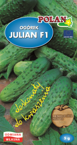 Ogórek gruntowy Julian - mieszaniec 5g.