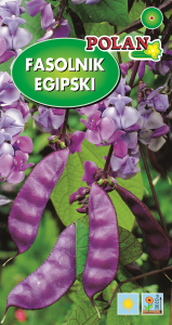 Fasolnik egipski 3g.