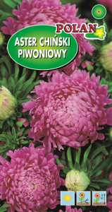 Aster ch. peoniowy łososiowy