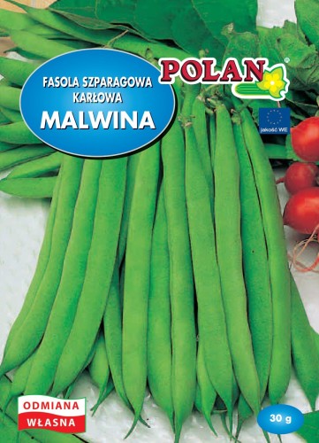 Fasola zw. karłowa Malwina