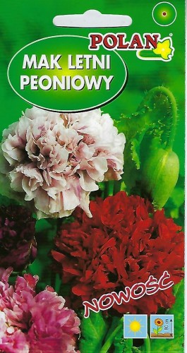 Mak letni peoniowy mieszanka