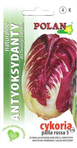 Cykoria liściowa Palla Rossa