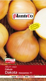 Cebula Allium cepa Dakota - mieszaniec 5g