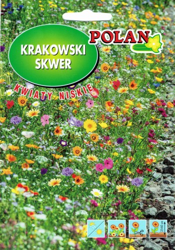 Mieszanka kwiatów Krakowski Skwer niskie