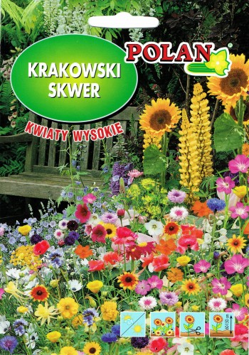 Mieszanka kwiatów Krakowski Skwer wysokie