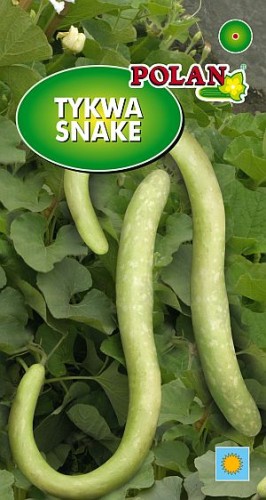 Dynia ozdobna Tykwa Snake