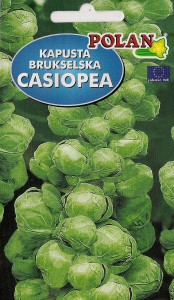 Kapusta brukselska Casiopea 10g.