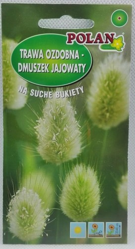 Trawy ozdobne Dmuszek
