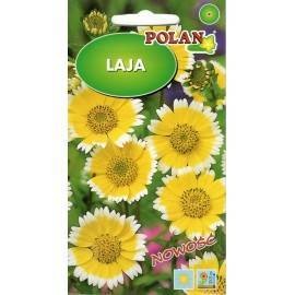 Laja