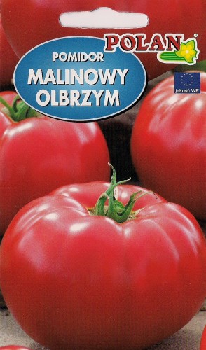 Pomidor gruntowy Malinowy Olbrzym