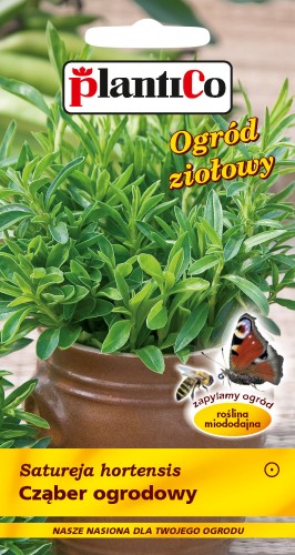 Cząber ogrodowy