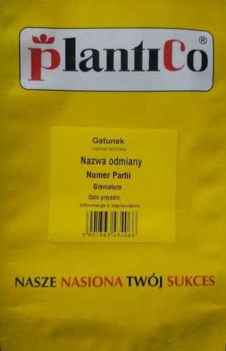 Marchew jadalna Berlikumer 2 - Perfekcja