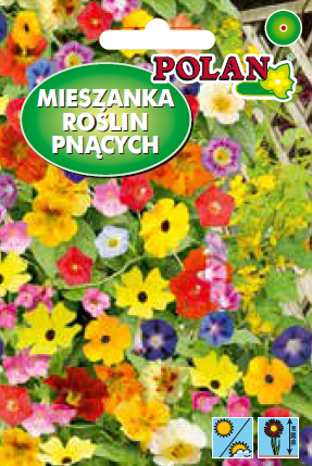 Mieszanka kwiatów pnąca