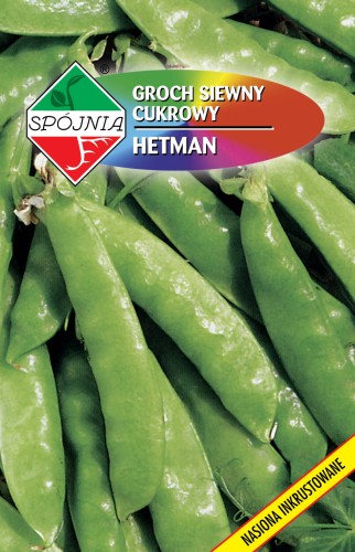 Groch siewny cukrowy Hetman