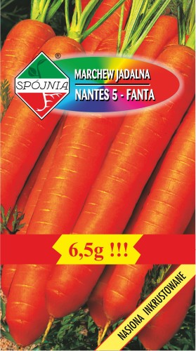 marchew_nantes5_fanta.jpg