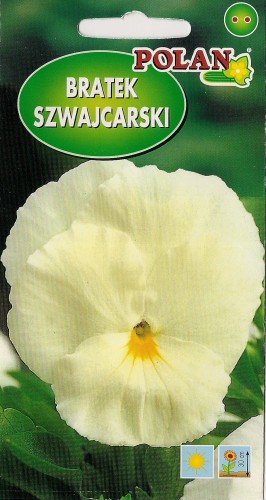 Bratek ogrodowy biały