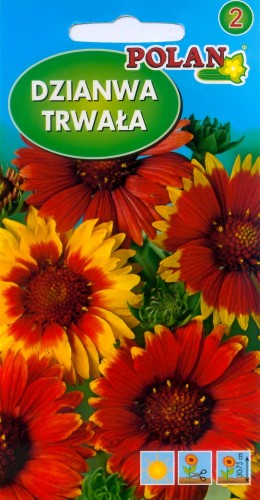 Gaillardia oścista-Dzianwa trwała mix