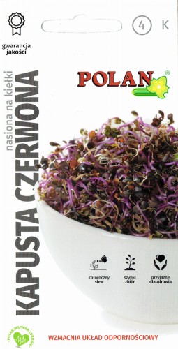 Nasiona na kiełki Kapusta czerwona