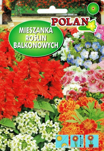Mieszanka kwiatów balkonowa