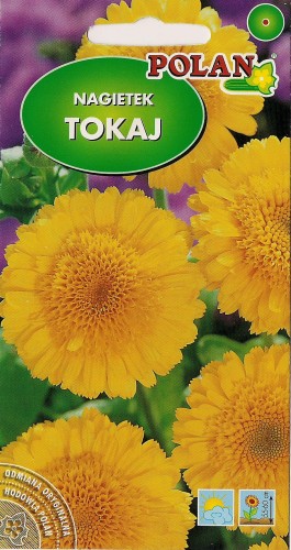 Nagietek lek. wysoki Tokaj