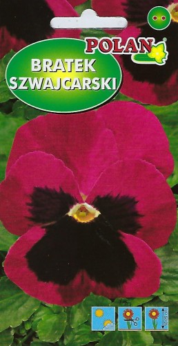 Bratek ogrodowy różowy z plamą