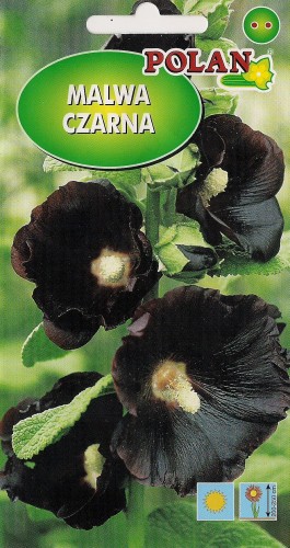 Malwa ogrodowa czarna
