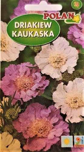 Driakiew kaukaska mieszanka