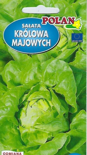 Sałata gł. masł. grunt. Królowa Majowych - Król. Maj.