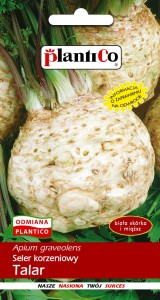 Seler korzeniowy Talar 1g