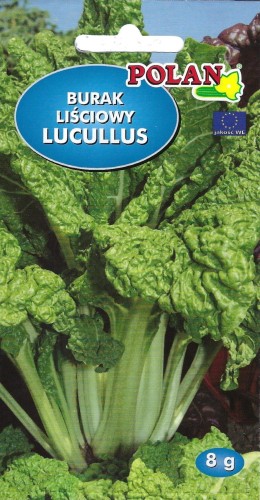 Burak liściowy Lucullus-tek.jpg