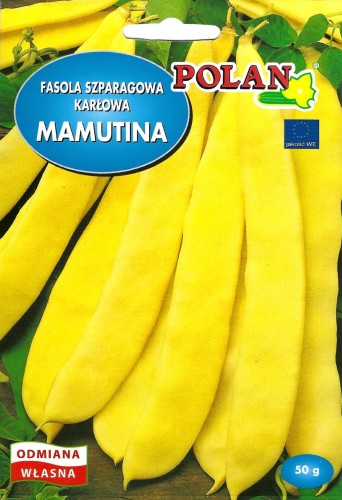 Fasola Mamutina- flora .jpg