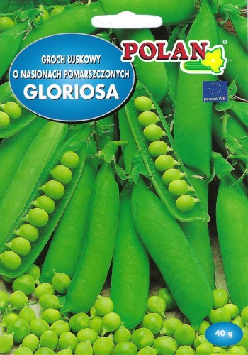 Groch Gloriosa - 40g. flora .jpg