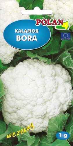 Kalafior Bora - 1g - tek .jpg