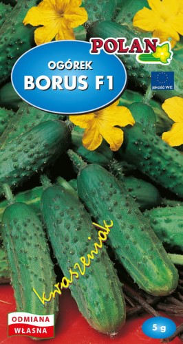 Ogórek Borus -RGB-flora.jpg