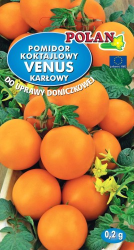 pomidor Venus - tek.jpg
