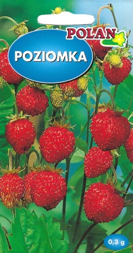 Poziomka - front do wszystkich poziomek flora.jpg