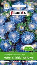 Aster ch. karłowy niebieski 1g.