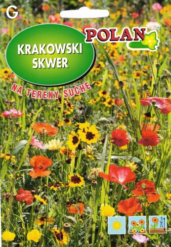 Bez nazwy.jpg