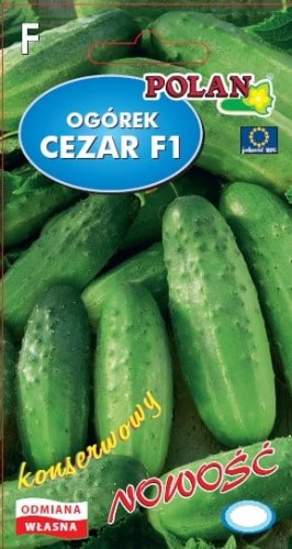 ee6a2c1f-9455-4acb-bd9a-afcae30df8d5.jpg