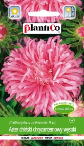 Aster ch. chryzantemowy różowy 1g.