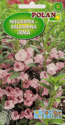 Niecierpek balsamina Irma