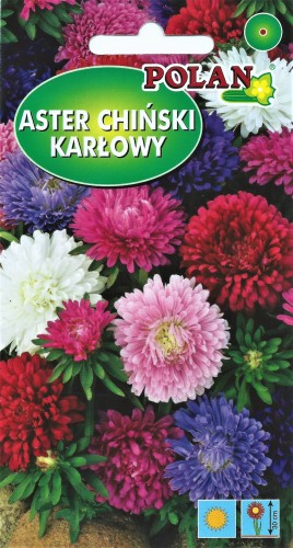 karłowy mix.jpg