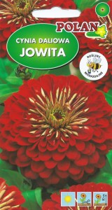 Cynia wytw. daliowa czerwona-Jowita 1g