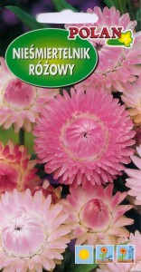 Kocanka ogrodowa różowa 1g