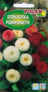 Stokrotka pomponowa mix 0,2g