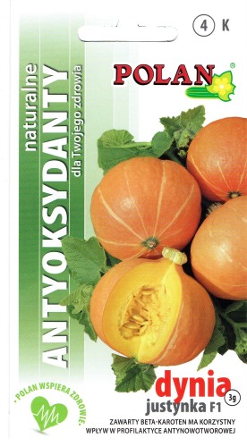 Dynia olbrzymia JUSTYNKA mieszaniec