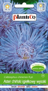 Aster ch. igiełkowy Ela lilanieb. 1g